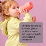 Tommee Tippee Insulated 9oz Sporty Spout Toddler Water Bottle, No Spill, Sippy Cups for Toddlers 1-3, Two-Piece Valve Helps Stop Spills, Green & Red, BPA Free, Pack of 2 - Image 4