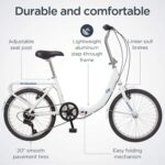 Schwinn Loop - Image 2