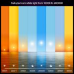 Philips Hue Smart LED A19 Bulb, 3 Pack, White & Color Ambiance, E26 Base, 7.2W, Full Spectrum Light 1000K-20000K, 810 Lumens, Dimmable LED Bulbs, Works with Alexa, Google & Apple Home - Image 3