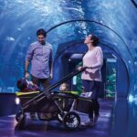 Evenflo Pivot Xplore All-Terrain Stroller Wagon (Wayfarer Black) - Image 4