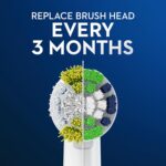 Oral-B Electric Toothbrush Replacement Brush Heads, Precision Clean, White, 1 Count + 2 Daily Clean White - Image 3