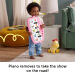 Fisher-Price Baby Playmat Glow and Grow Kick & Play Piano Gym, Pink Musical Learning Toy with Developmental Activities for Newborns 0+ Months - Image 4