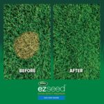 Scotts EZ Seed Dog Spot Repair Sun and Shade, 2 lbs. | Combination Mulch, Grass Seed Mix and Soil Amendment to Neutralize and Repair Pet Spots - Image 3