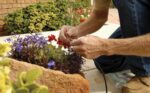 Rain Bird DRIPKITBAG Drip Irrigation Repair and Expansion Kit - Image 5
