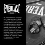 Everlast 1910 Leather Focus Mitts | Vintage Training Punching Mitts - Image 6