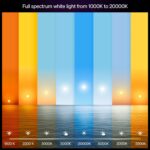 Philips Hue Smart LED A19 Bulb 2-Pack, White Ambiance, E26 Base, 7.2W, Full Spectrum Light 1000K-20000K, 810 Lumens, Dimmable LED Bulbs, Works with Alexa, Google, and Apple Home - Image 3
