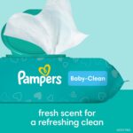 Pampers Baby Wipes, Complete Clean Baby Fresh Scented Wipe, Gently Cleans Head to Toe, 864 Total (12 Flip-Top Packs) - Image 6