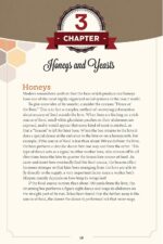 Making Your Own Mead: 43 Recipes for Homemade Honey Wines (Fox Chapel Publishing) Basic Guide to Techniques, plus Recipes for Mead, Fruit Melomels, Grape Pyments, Spiced Metheglins, & Apple Cysers - Image 4