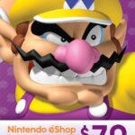 $70 Nintendo eShop Gift Card [Digital Code]