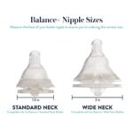 Evenflo Feeding Balance + Wide Neck BPA-Free Silicone Medium Flow Baby Bottle Nipple - 3 Months+, 6ct - Image 2
