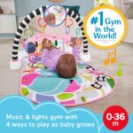 Fisher-Price Baby Playmat Glow and Grow Kick & Play Piano Gym, Pink Musical Learning Toy with Developmental Activities for Newborns 0+ Months - Image 2