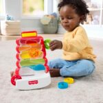 Fisher-Price Baby & Toddler Toy Drop Through Rock-a-Stack, Coin Drop Activity for Developmental Play Infants Ages 9+ Months - Image 2