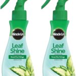 Miracle-Gro Leaf Shine Spray - For Indoor Hard-Leaved Houseplants, Cleans and Beautifies Foliage - 8 fl. oz. (2 Pack)