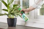 Miracle-Gro Leaf Shine Spray - For Indoor Hard-Leaved Houseplants, Cleans and Beautifies Foliage - 8 fl. oz. (2 Pack) - Image 2