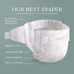 Pampers Amore, Size 3 (13-26 lbs), 116 Count, Our Best Diaper – Hypoallergenic & Fragrance Free, Up to 100% Leakproof, Soft as Cashmere - Image 2