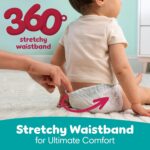 Pampers Diapers - Swaddlers 360° - Size 5, 116 Count, up to 100% Leakproof Comfy Dry Fit, Designed for Easy Changes, Pull On Baby Diaper (Packaging May Vary) - Image 2