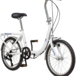 Schwinn Loop