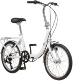 Schwinn Loop