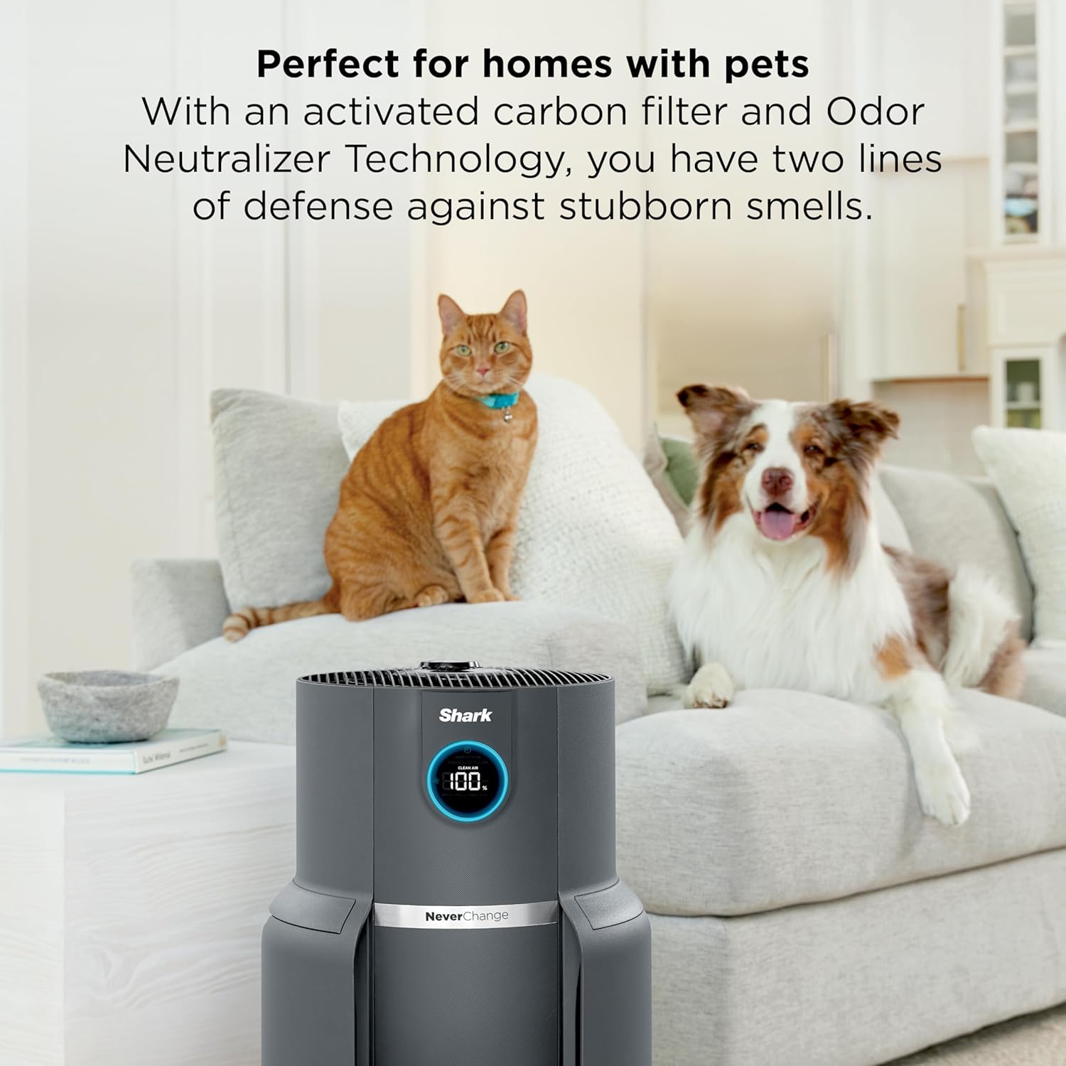 Shark Air Purifier for Home, NeverChange Max, 1,300 sq. ft. for Large Room, Kitchen, Home Office, HEPA-Exceeding Filter, Captures Pollutants, Pet Dander, Dust, Odor, Smoke, and More, HP301, Grey - Image 2
