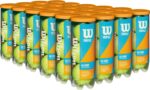 Wilson Profile All Court Tennis Balls - Single Can, 4 Cans (12 Balls), 24 Cans (72 Balls)